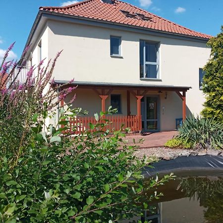 Ferienwohnung Toelle Bad Rehburg Exteriör bild